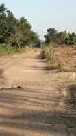 Residential Plot for Sale in Nyamhongoro, Mwanza - 1