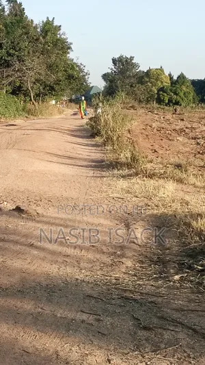 Residential Plot for Sale in Nyamhongoro, Mwanza