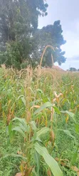 Land for Sale in Mbweni Teta - 2