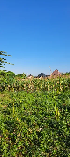 Land for Sale in Bunju A Kinondo