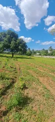 Land Plot for Sale - Bunju A, 1500 sqm - 2