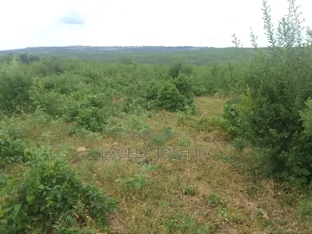 50 Acres Farmland for Sale, Kiwangwa Bagamoyo - 1