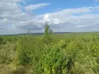 50 Acres Farmland for Sale, Kiwangwa Bagamoyo - 4