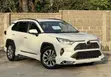 Toyota RAV4 2020 Hybrid Pearl - 2