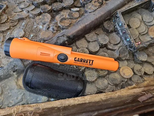 Garrett Pro-Pointer AT Pinpointer - 1