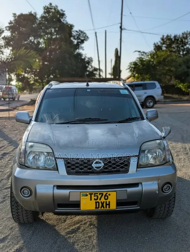 Nissan X-Trail 2003 Silver - 1