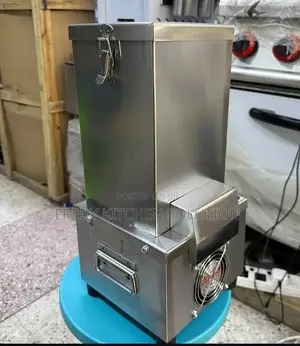 Commercial Electric Garlic Peeler Machine