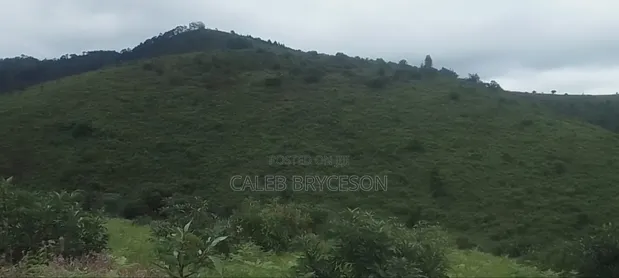 Fertile Farmland for Sale in Dabaga - 1