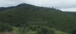 Fertile Farmland for Sale in Dabaga