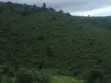 Fertile Farmland for Sale in Dabaga - 2