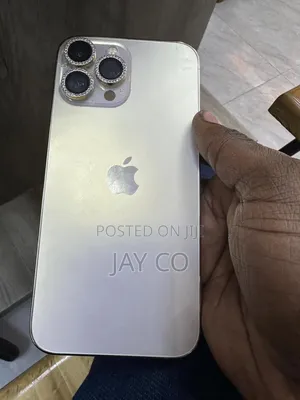 Apple iPhone 13 Pro Max 256GB Silver