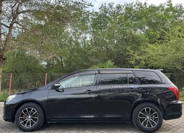 Toyota Corolla Fielder 2008 Black - 1