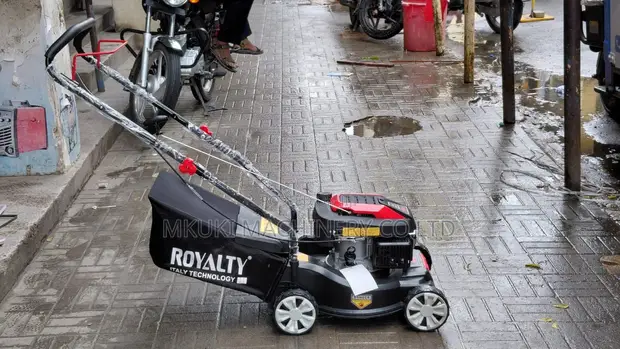 Royalty 16-Inch Rotary Lawn Mower - 1