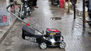 Royalty 16-Inch Rotary Lawn Mower