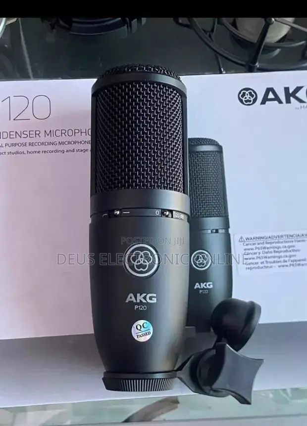 AKG P120 Condenser Microphone - 1