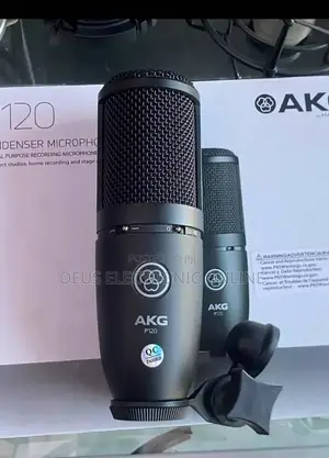 AKG P120 Condenser Microphone