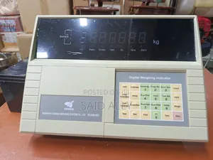 DS3 Indicator - High Precision Weighing