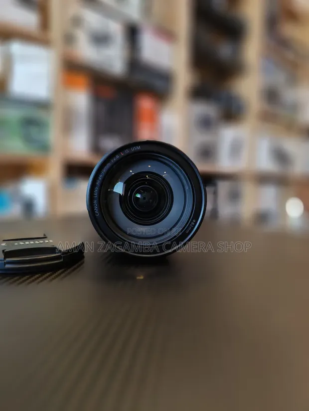 Canon RF 24-70mm f/2.8 L IS USM Lens - 1