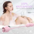 2-in-1 Improved Rose Vibrator - 2