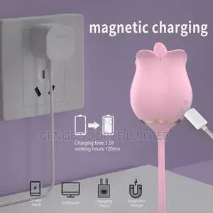 2-in-1 Improved Rose Vibrator
