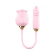 The Secret Rose Vibrator - 1