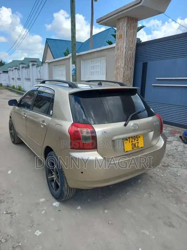Toyota Corolla RunX 2004 Dhahabu - 1