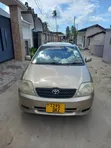 Toyota Corolla RunX 2004 Dhahabu - 4