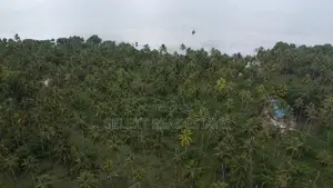 31.4 Acres Prime Beachfront Land, Mafia Island