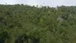 31.4 Acres Prime Beachfront Land, Mafia Island - 2