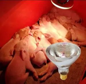 Infrared Brooder Lamp for Chicks