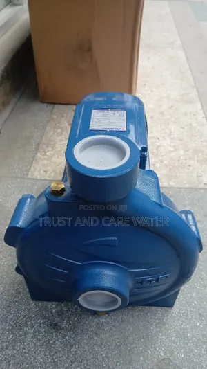 Pedrollo CP 250B Surface Pump 10hp (2-inch)