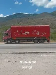 Scania 114 380 Farasi wa Punda - 3