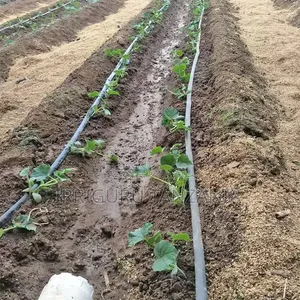 Direct Drip Irrigation Pipes