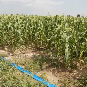 Agricultural Drip Irrigation System