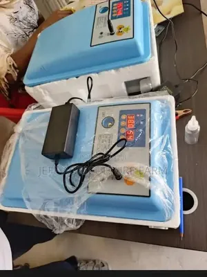 30 Egg Automatic Incubator