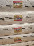 Skyline Furniture Spring Mattress - King Size - 1