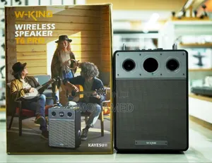 W-King Loudspeaker