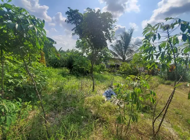 Residential Plot for Sale, Kashura Hill, Bukoba - 1