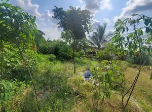 Residential Plot for Sale, Kashura Hill, Bukoba