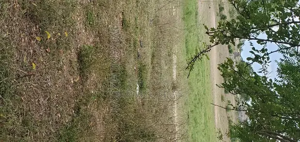Residential Plots for Sale, Kagemu, Bukoba - 1