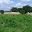 Two Plots for Sale, Bagamoyo Mapinga Boabab - 1
