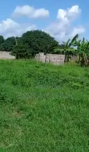 Two Plots for Sale, Bagamoyo Mapinga Boabab