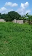 Two Plots for Sale, Bagamoyo Mapinga Boabab - 5