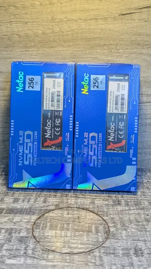 Brand New Netac 256GB NVMe M.2 SSD