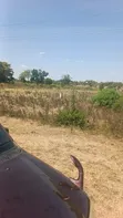 Industrial Plot for Sale - Mwanza Usagara - 4