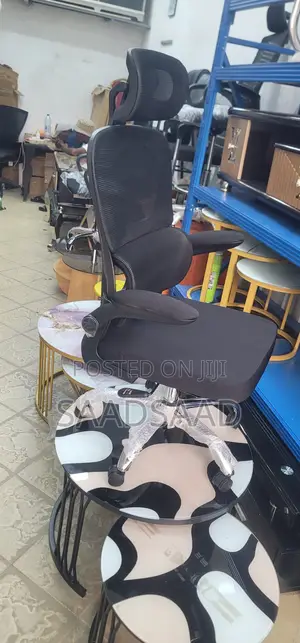 Ergonomic Office Chair - Brand New