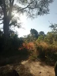 62 Acres Farmland for Sale in Ifunda - 2