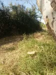 62 Acres Farmland for Sale in Ifunda - 3
