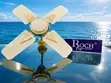 24" Roch Ceiling Fan - 2