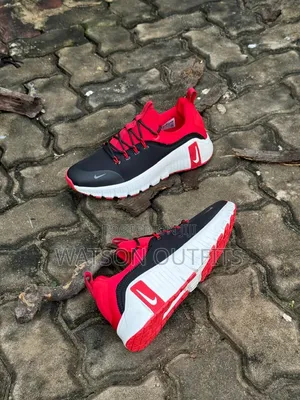 Pegasus and Nike Men's Leather Sneakers